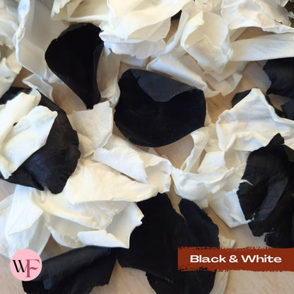 Rose Petals - Black & White