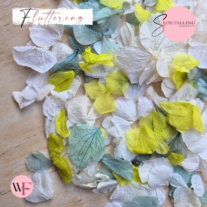 Petal Confetti hydrangea - White Turquoise Lime