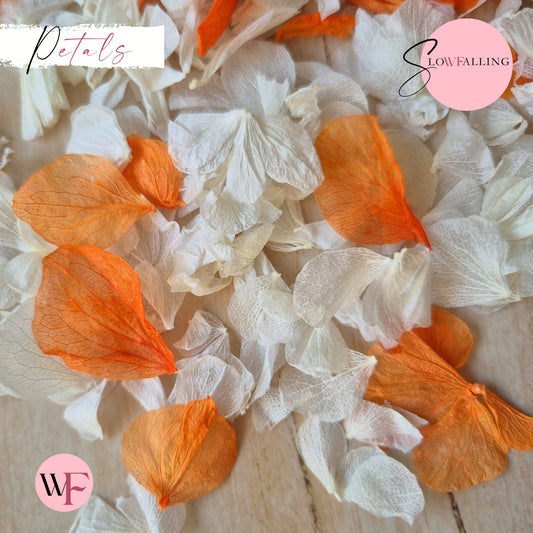 Wedfetti petal mix