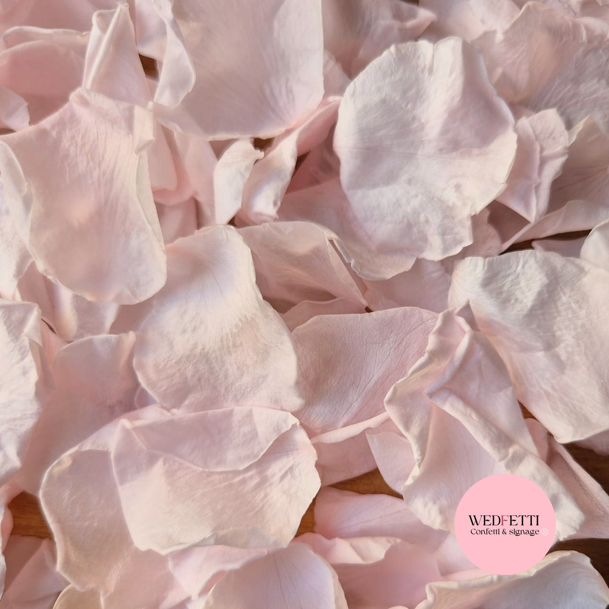 Rose Petals - Light Pink