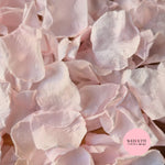 Rose Petals - Light Pink