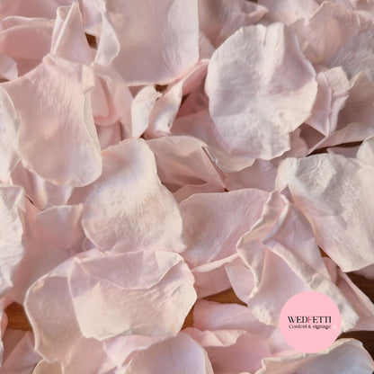 Rose Petals - Light Pink