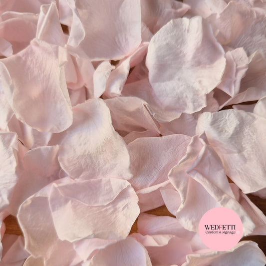 Rose Petals - Light Pink