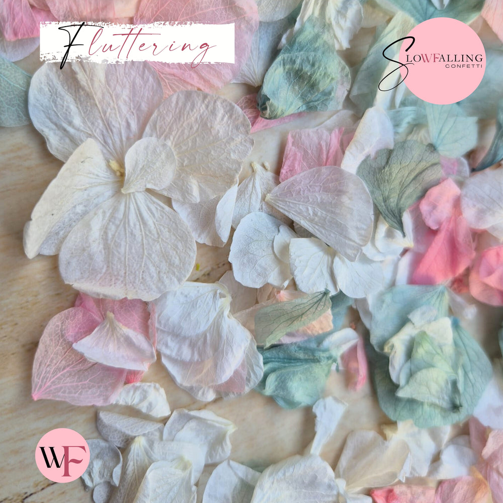 Petal Confetti hydrangea - Pink Turquoise White