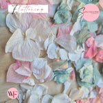 Petal Confetti hydrangea - Pink Turquoise White
