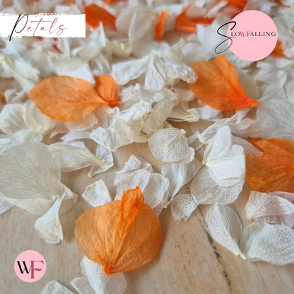 Wedfetti petal mix