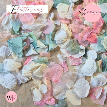 Petal Confetti hydrangea - Pink Turquoise White