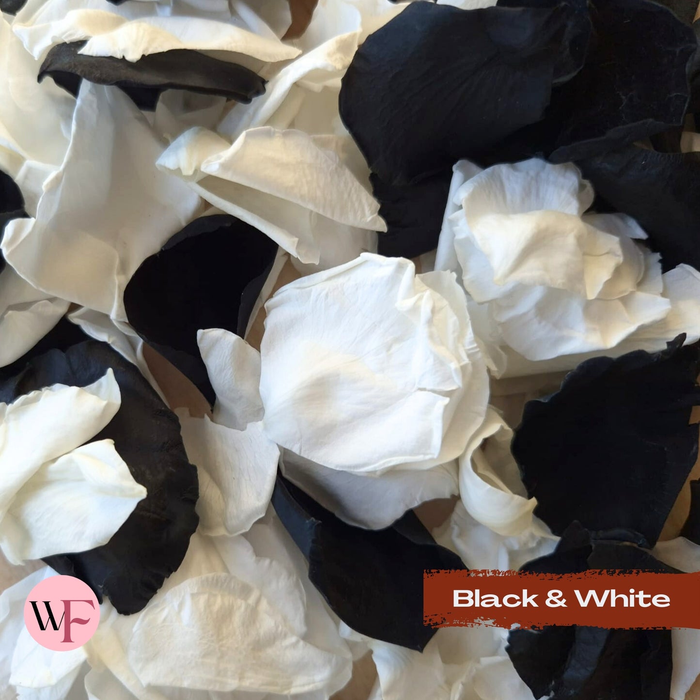 Rose Petals - Black & White