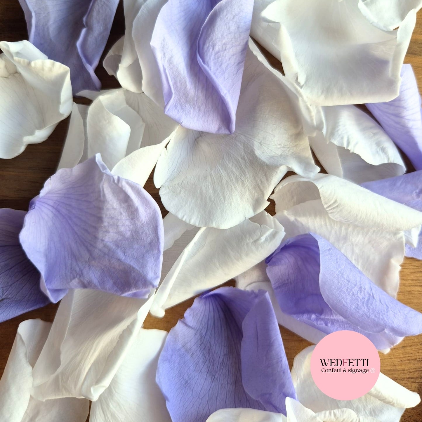 Rose Petals - Purple Hue White