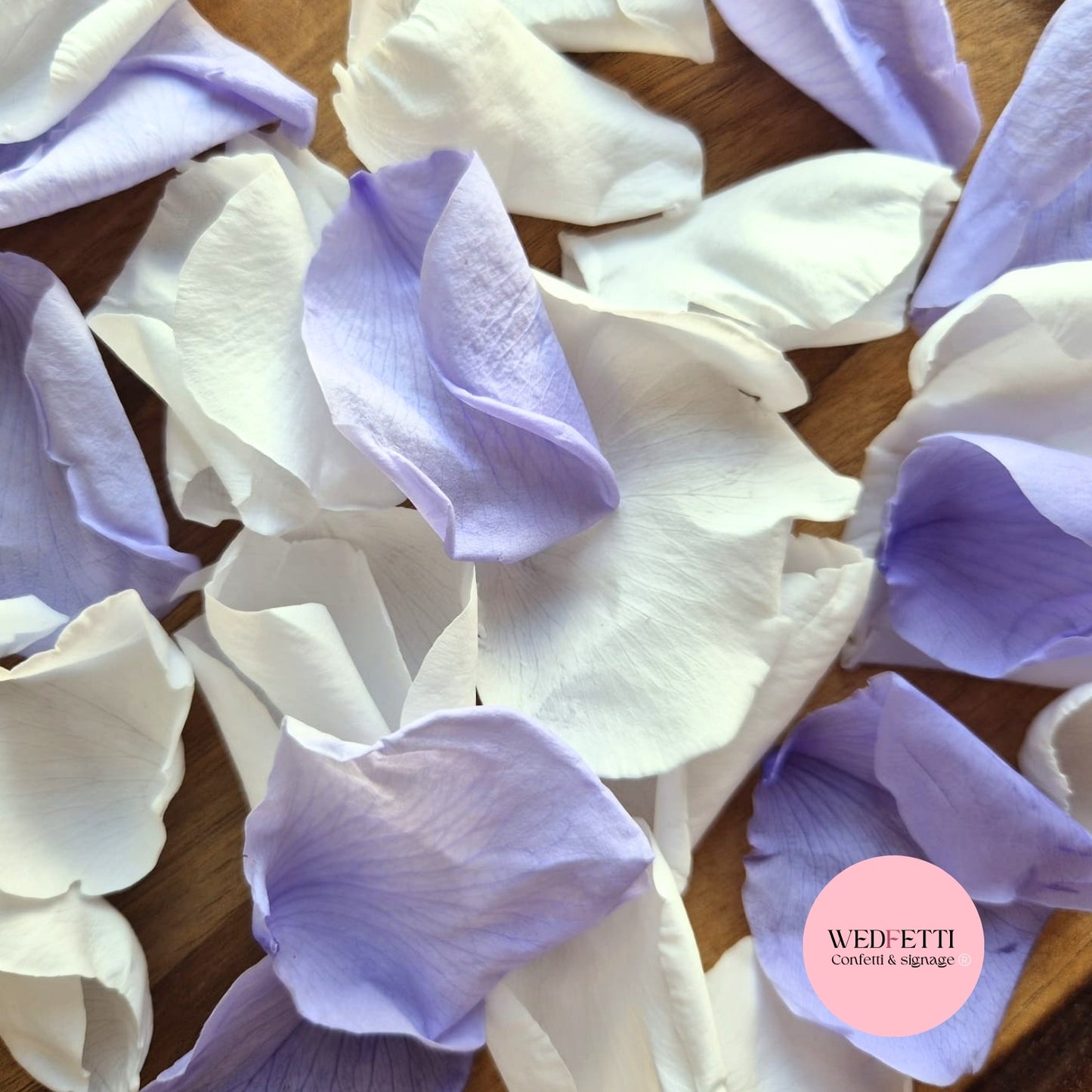 Rose Petals - Purple Hue White