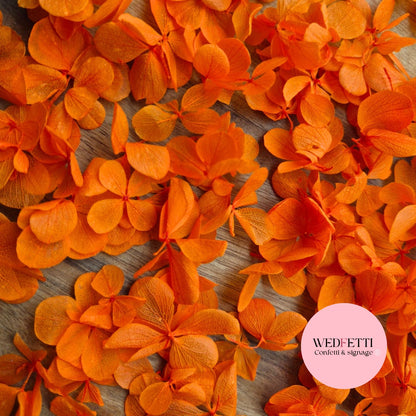 FlutterFly® Petal Confetti - October Orange