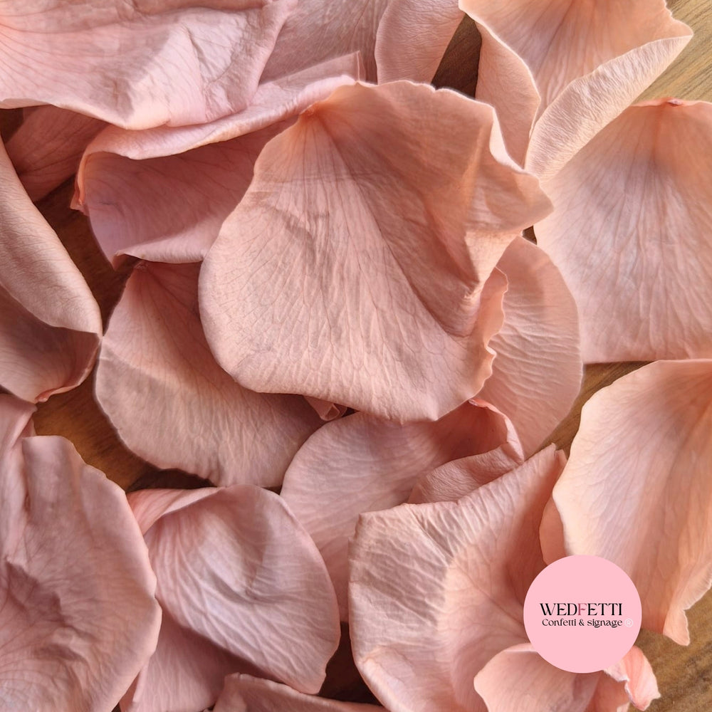 Rose Petals - Blush Pink Champagne