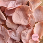 Rose Petals - Blush Pink Champagne