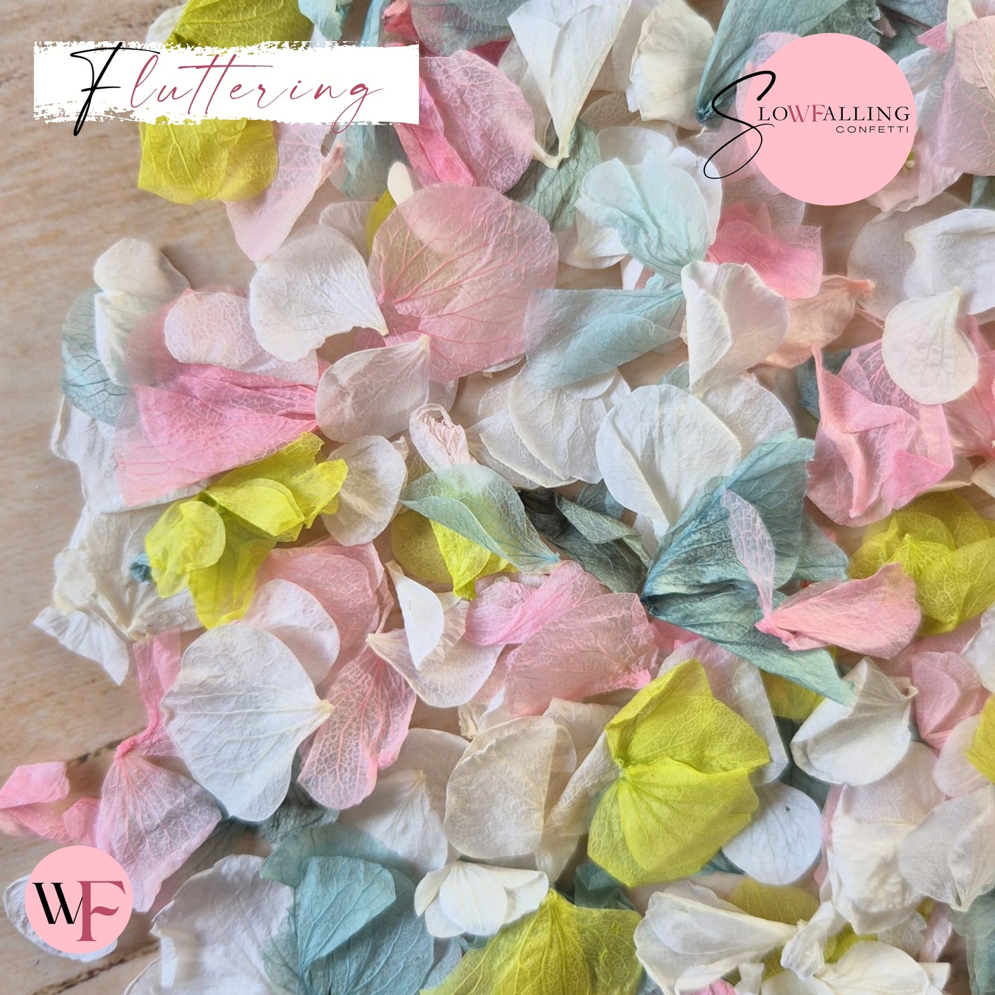Petal Confetti hydrangea - Pink Lime Turquoise White