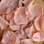 Rose Petals - Blush Pink Champagne