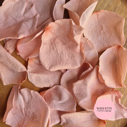 Rose Petals - Blush Pink Champagne
