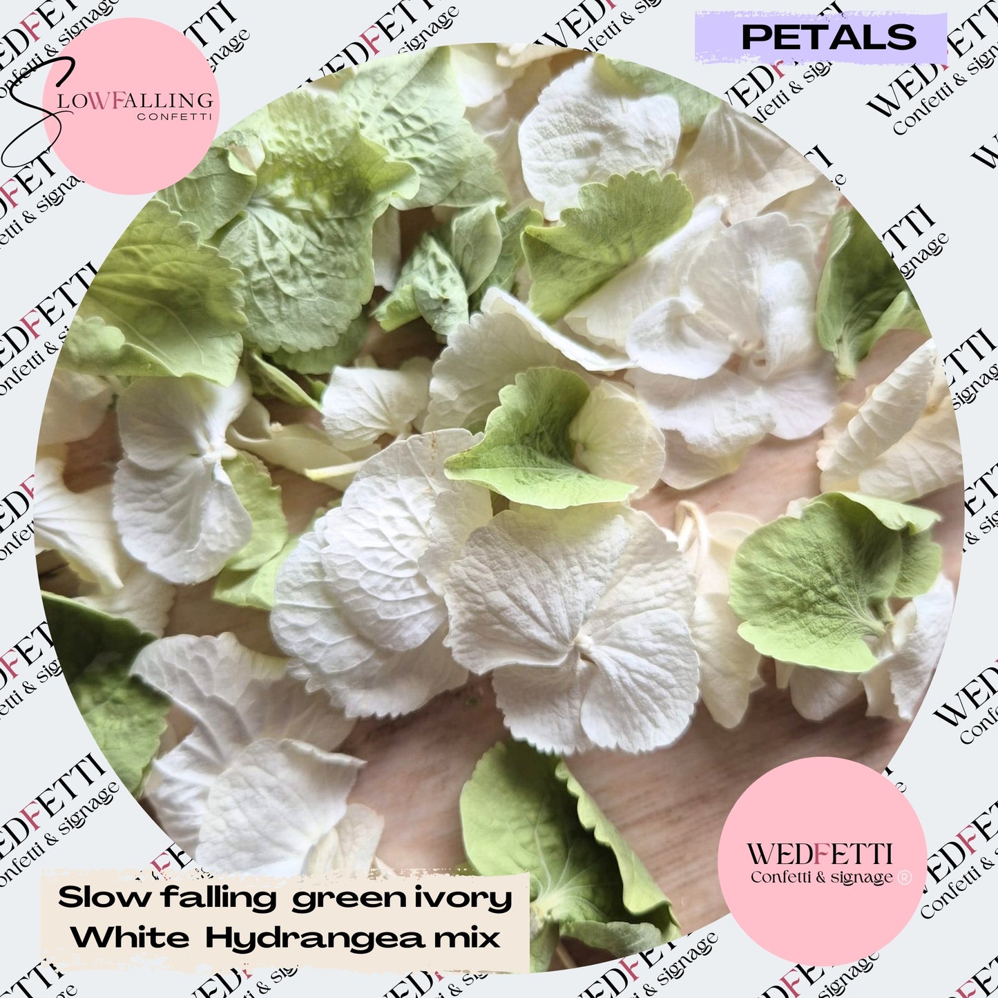 SLOW FALLING PETALS Sage + ivory white hydrangea petal premium mix