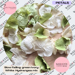 SLOW FALLING PETALS Sage + ivory white hydrangea petal premium mix