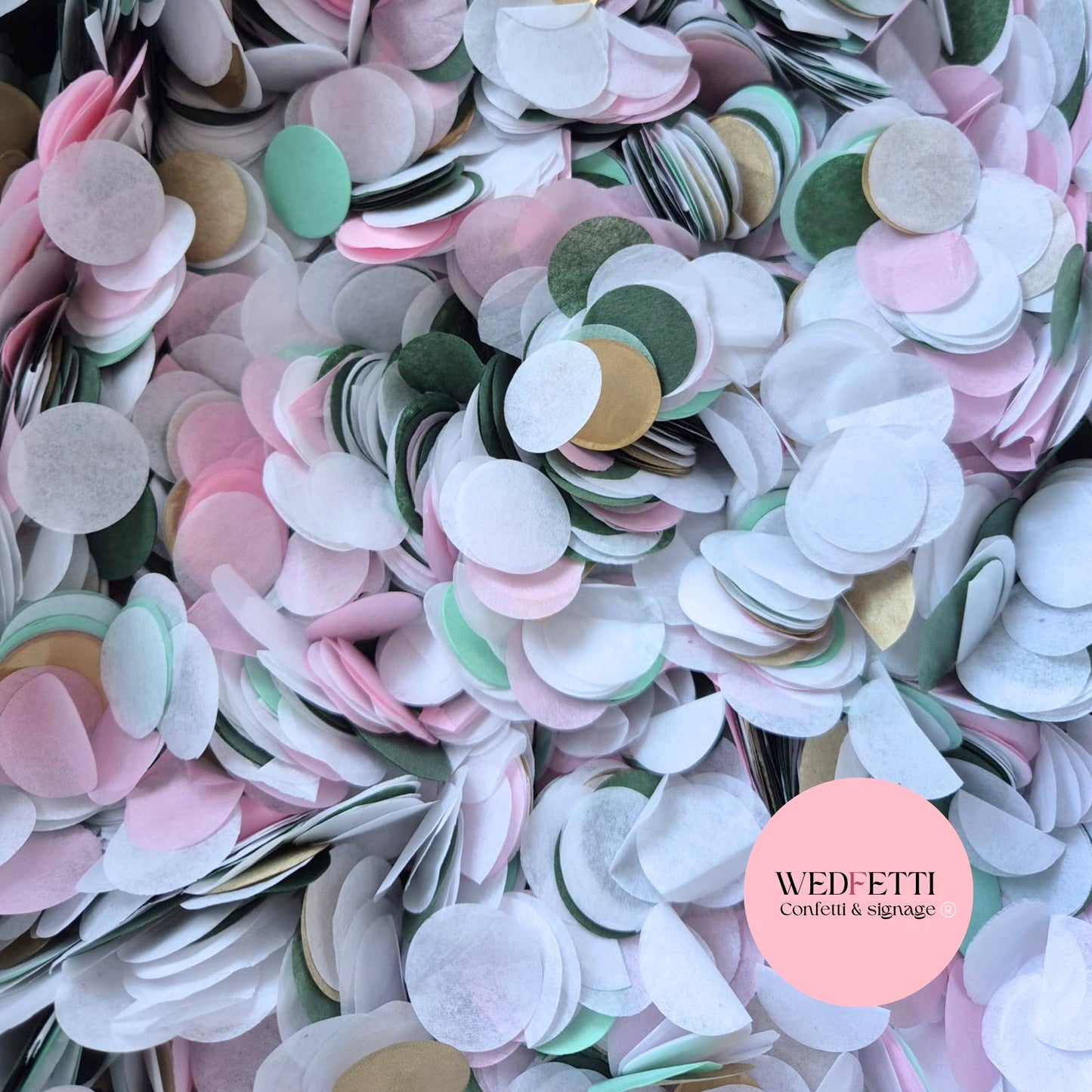 Circles Large 2.5cm Biodegradable - Sage blush Gold
