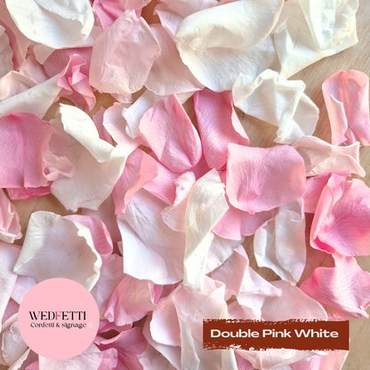 Rose Petals - Double Pink White