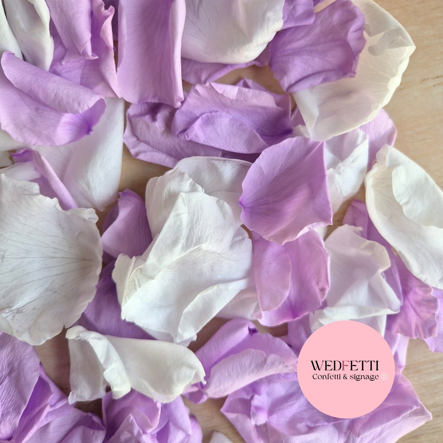 Rose Petals - Light Purple White