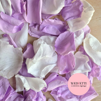 Rose Petals - Light Purple White