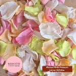 Rose Petals - Rose Pink Peach Lime White