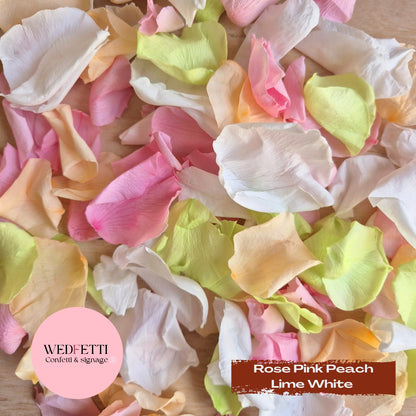 Rose Petals - Rose Pink Peach Lime White