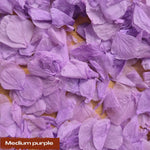 Create your own custom Hydrangea Petal Confetti mix