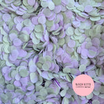 Slow falling paper Confetti - Light Sage Grey Lavender