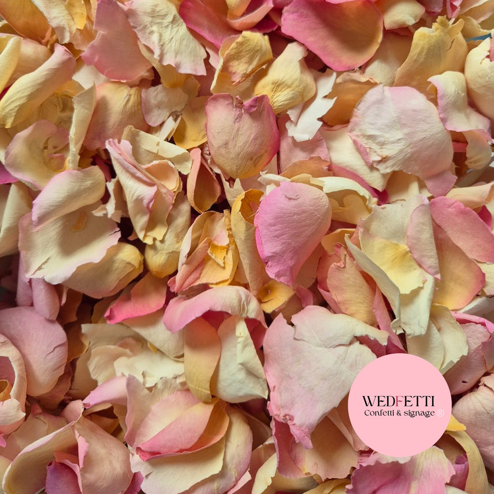 Pastel rose petal premium mix
