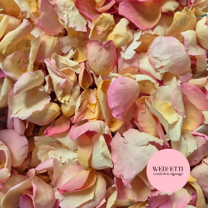 Pastel rose petal premium mix