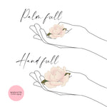 Petal Confetti Marigold with jasmine buds + lavender