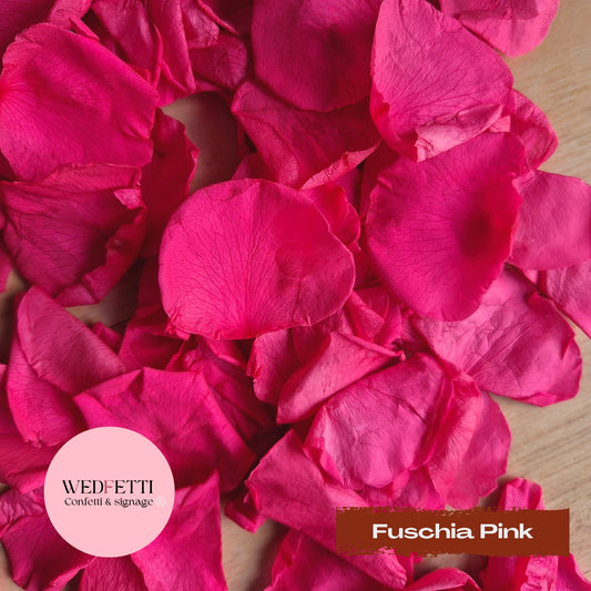 Rose Petals - Fuschia Pink