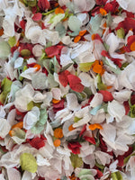 Petal Confetti hydrangea - Autumn October Sage