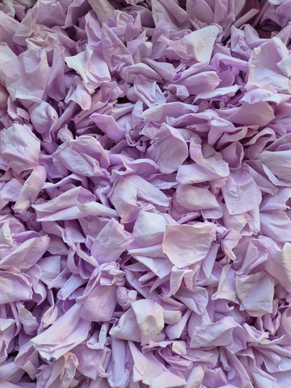 Rose Petals - end of year clearance - 70% off