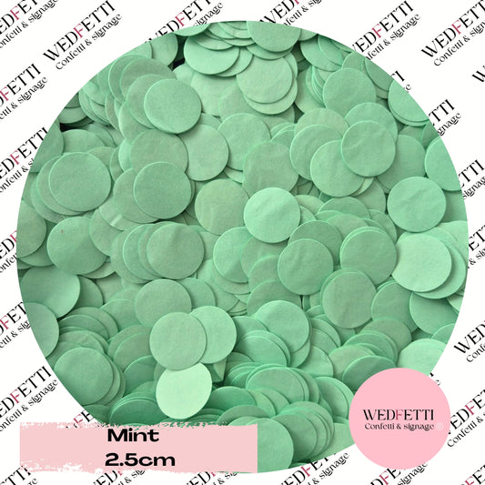 Circles Large 2.5cm Biodegradable - Mint
