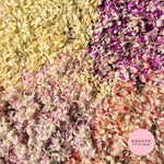 Petal Confetti 4 shades Globosa mix