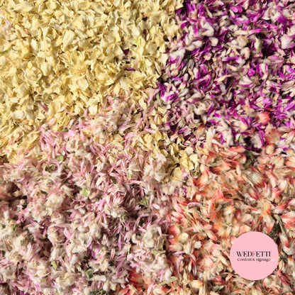 Petal Confetti 4 shades Globosa mix