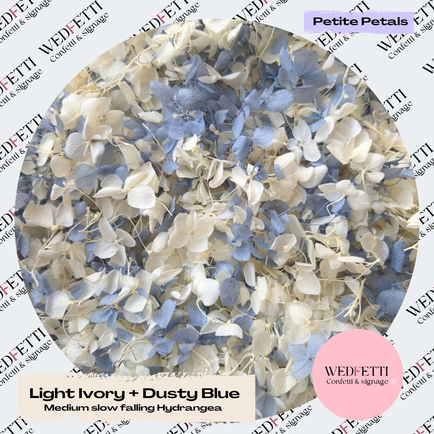 Ivory & Dusty Blue Hydrangea petals