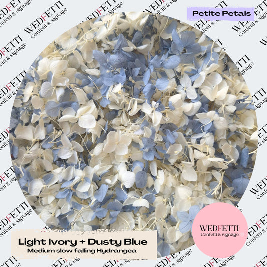 Ivory & Dusty Blue Hydrangea petals