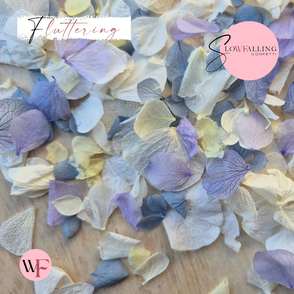 Petal Confetti hydrangea - Dusty Blue purple Lemon White