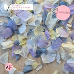Petal Confetti hydrangea - Dusty Blue purple Lemon White