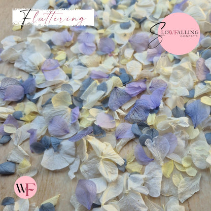 Petal Confetti hydrangea - Dusty Blue purple Lemon White