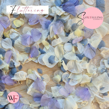 Petal Confetti hydrangea - Dusty Blue purple Lemon White