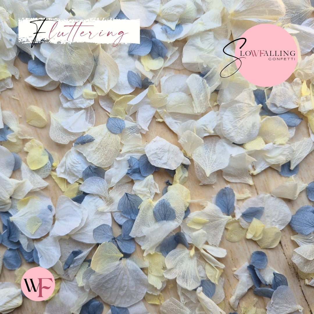 Petal Confetti hydrangea - Dusty Blue Lemon White