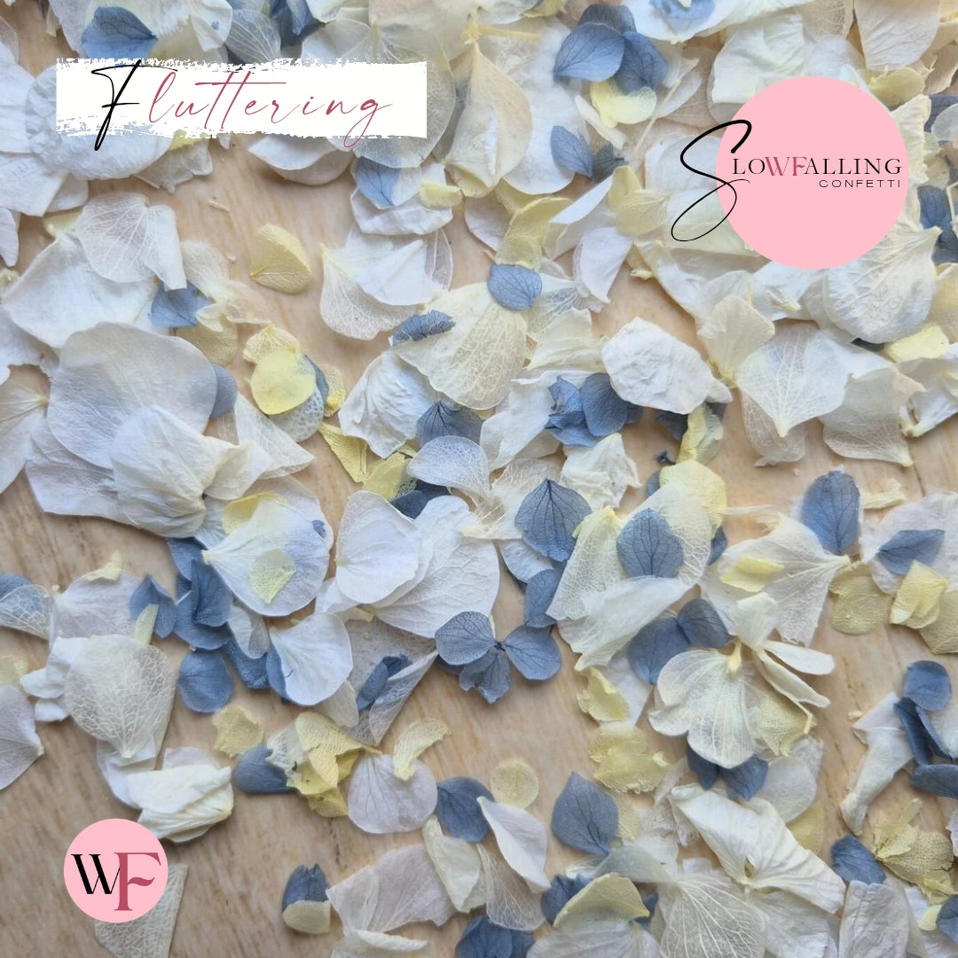 Petal Confetti hydrangea - Dusty Blue Lemon White