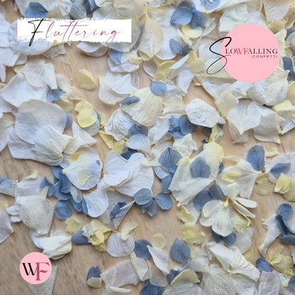 Petal Confetti hydrangea - Dusty Blue Lemon White