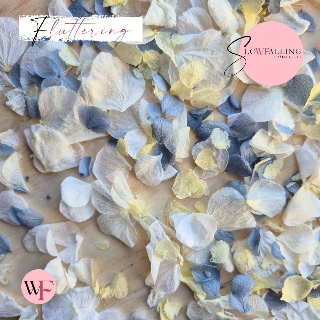 Petal Confetti hydrangea - Dusty Blue Lemon White