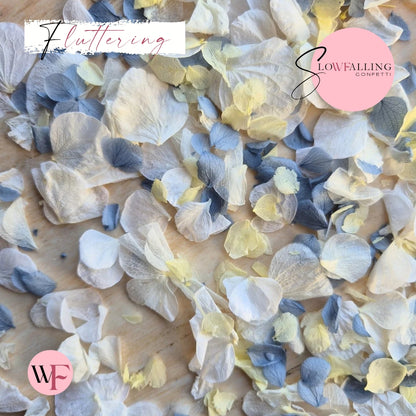 Petal Confetti hydrangea - Dusty Blue Lemon White